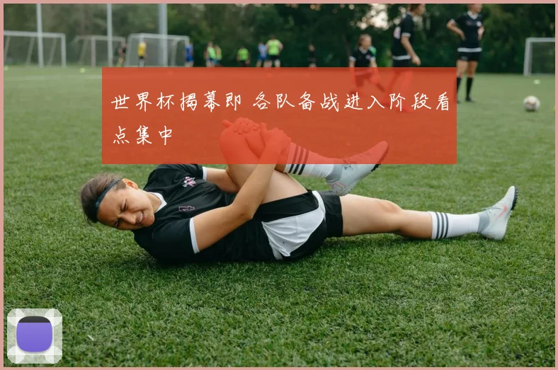 世界杯揭幕即 各队备战进入阶段看点集中