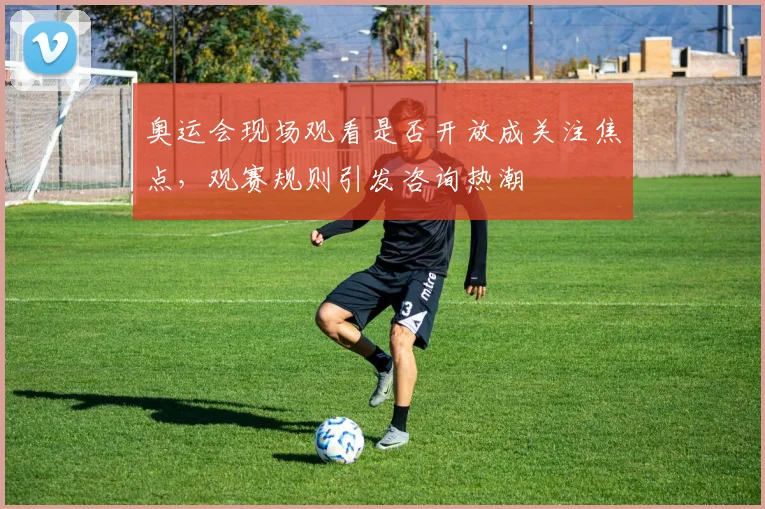 奥运会现场观看是否开放成关注焦点,观赛规则引发咨询热潮