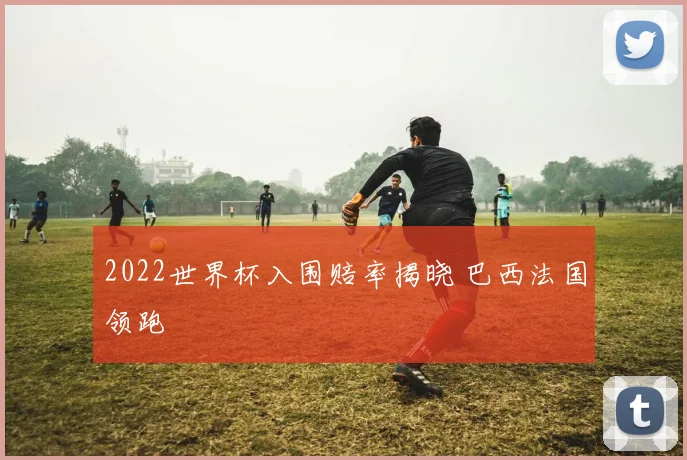 2022世界杯入围赔率揭晓 巴西法国领跑